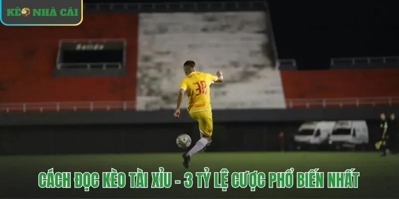 Ba tỷ lệ cược tài xỉu bóng đá phổ biến cho người mới